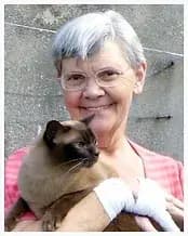 Susan Powell's profile photo